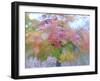 Blurred image of foliage achieved by rotating the camera during time exposure-Jan Halaska-Framed Photographic Print