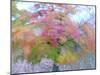 Blurred image of foliage achieved by rotating the camera during time exposure-Jan Halaska-Mounted Photographic Print