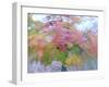 Blurred image of foliage achieved by rotating the camera during time exposure-Jan Halaska-Framed Premium Photographic Print