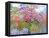 Blurred image of foliage achieved by rotating the camera during time exposure-Jan Halaska-Framed Stretched Canvas