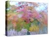 Blurred image of foliage achieved by rotating the camera during time exposure-Jan Halaska-Stretched Canvas