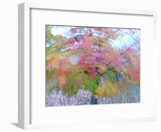 Blurred image of foliage achieved by rotating the camera during time exposure-Jan Halaska-Framed Photographic Print