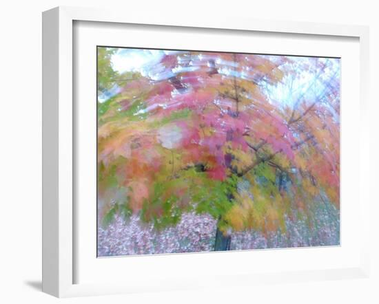 Blurred image of foliage achieved by rotating the camera during time exposure-Jan Halaska-Framed Photographic Print