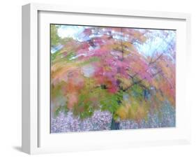 Blurred image of foliage achieved by rotating the camera during time exposure-Jan Halaska-Framed Photographic Print