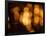 Blurred Lights-null-Framed Photographic Print