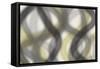 Blurred Lines-Jace Grey-Framed Stretched Canvas