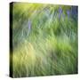 Blurred motion image of grass, urrey, England, UK-Jon Arnold-Stretched Canvas