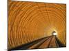 Blurred Motion Light Trails in an Train Tunnel under the Huangpu Tiver Linking the Bund to Pudong, -Gavin Hellier-Mounted Photographic Print