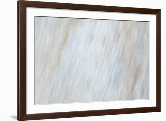 Blurred motion of a rock, Sammamish, Washington State-Darrell Gulin-Framed Photographic Print