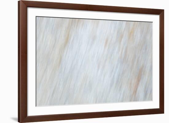 Blurred motion of a rock, Sammamish, Washington State-Darrell Gulin-Framed Photographic Print