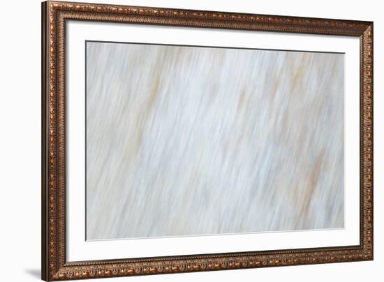 Blurred motion of a rock, Sammamish, Washington State-Darrell Gulin-Framed Photographic Print