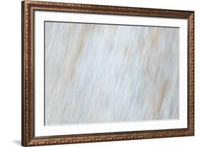 Blurred motion of a rock, Sammamish, Washington State-Darrell Gulin-Framed Photographic Print