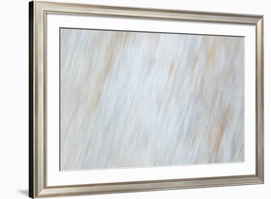 Blurred motion of a rock, Sammamish, Washington State-Darrell Gulin-Framed Photographic Print