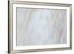 Blurred motion of a rock, Sammamish, Washington State-Darrell Gulin-Framed Photographic Print