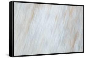 Blurred motion of a rock, Sammamish, Washington State-Darrell Gulin-Framed Stretched Canvas
