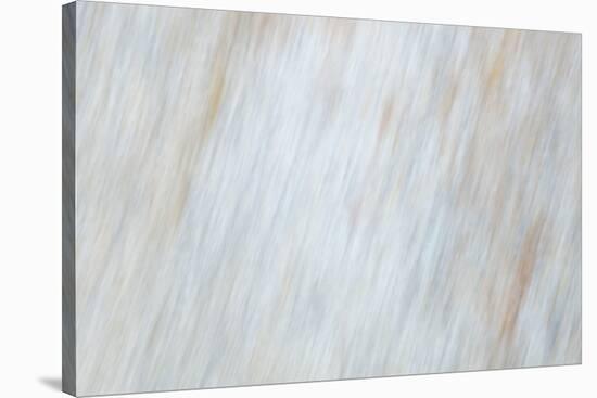 Blurred motion of a rock, Sammamish, Washington State-Darrell Gulin-Stretched Canvas