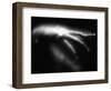 Blurred Sea Slug-Henry Horenstein-Framed Photographic Print