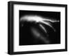 Blurred Sea Slug-Henry Horenstein-Framed Photographic Print