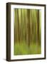 Blurred Trees 1-Moises Levy-Framed Giclee Print