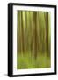 Blurred Trees 1-Moises Levy-Framed Giclee Print