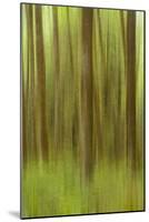 Blurred Trees 1-Moises Levy-Mounted Giclee Print