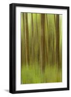 Blurred Trees 1-Moises Levy-Framed Premium Giclee Print