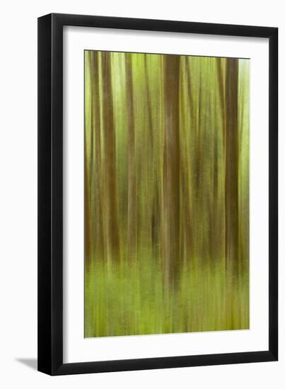 Blurred Trees 1-Moises Levy-Framed Premium Giclee Print