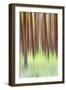 Blurred Trees 2-Moises Levy-Framed Giclee Print