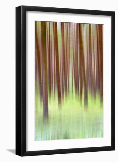 Blurred Trees 2-Moises Levy-Framed Giclee Print