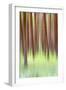 Blurred Trees 2-Moises Levy-Framed Giclee Print