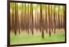 Blurred Trees 5 - Verde-Moises Levy-Framed Giclee Print