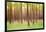 Blurred Trees 5 - Verde-Moises Levy-Framed Giclee Print