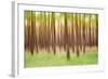 Blurred Trees 5 - Verde-Moises Levy-Framed Giclee Print