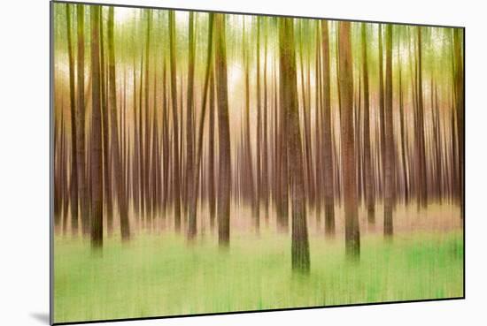 Blurred Trees 5 - Verde-Moises Levy-Mounted Giclee Print