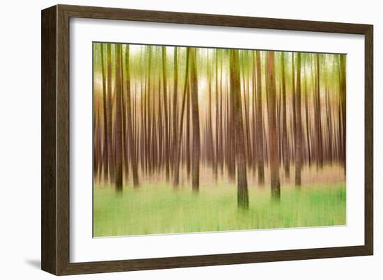 Blurred Trees 5 - Verde-Moises Levy-Framed Giclee Print