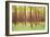 Blurred Trees 5 - Verde-Moises Levy-Framed Giclee Print