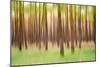 Blurred Trees 5 - Verde-Moises Levy-Mounted Giclee Print