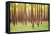 Blurred Trees 5 - Verde-Moises Levy-Framed Stretched Canvas