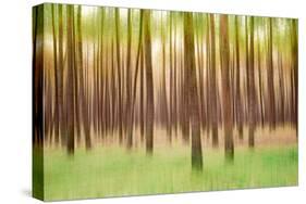 Blurred Trees 5 - Verde-Moises Levy-Stretched Canvas