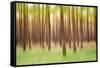 Blurred Trees 5 - Verde-Moises Levy-Framed Stretched Canvas