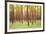Blurred Trees 5 - Verde-Moises Levy-Framed Giclee Print