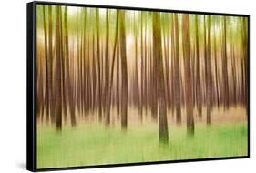 Blurred Trees 5 - Verde-Moises Levy-Framed Stretched Canvas