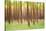 Blurred Trees 5 - Verde-Moises Levy-Stretched Canvas