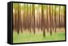 Blurred Trees 5 - Verde-Moises Levy-Framed Stretched Canvas