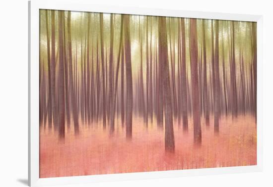 Blurred Trees 5-Moises Levy-Framed Giclee Print
