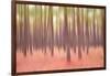 Blurred Trees 5-Moises Levy-Framed Giclee Print