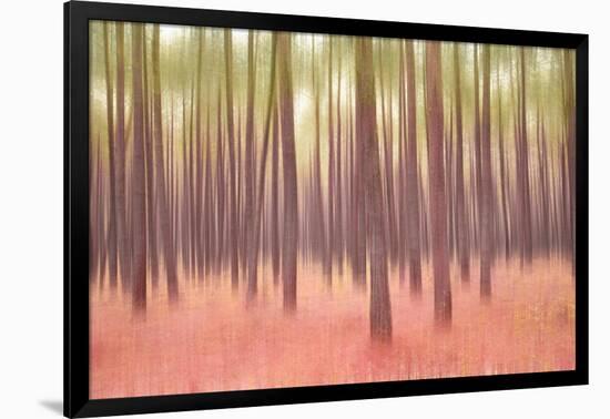 Blurred Trees 5-Moises Levy-Framed Giclee Print