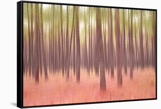 Blurred Trees 5-Moises Levy-Framed Stretched Canvas