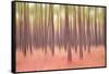 Blurred Trees 5-Moises Levy-Framed Stretched Canvas