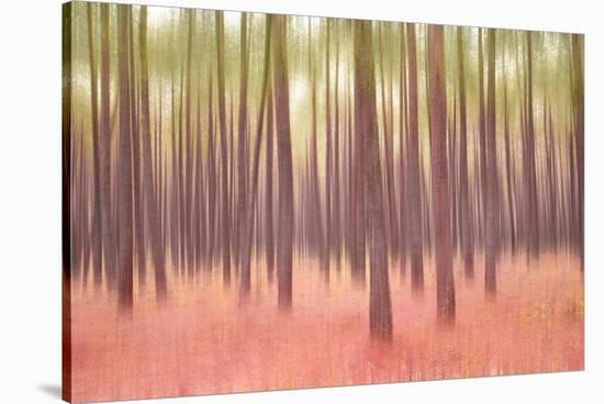 Blurred Trees 5-Moises Levy-Stretched Canvas